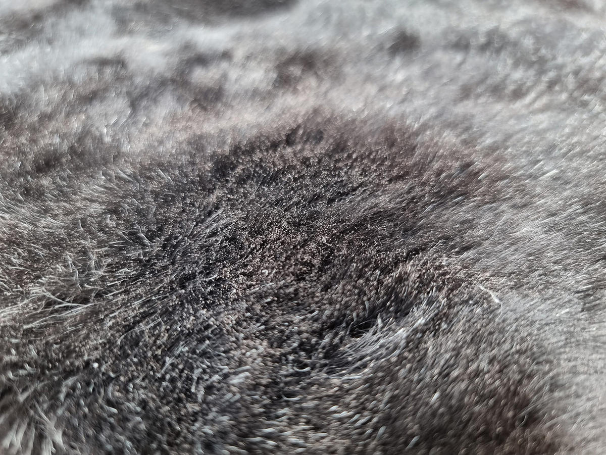 SCHAFFELL Geschoren Natur Dunkelgrau ca. 120 cm - Dunkelgrau, Fell (65/120cm) - Provellus