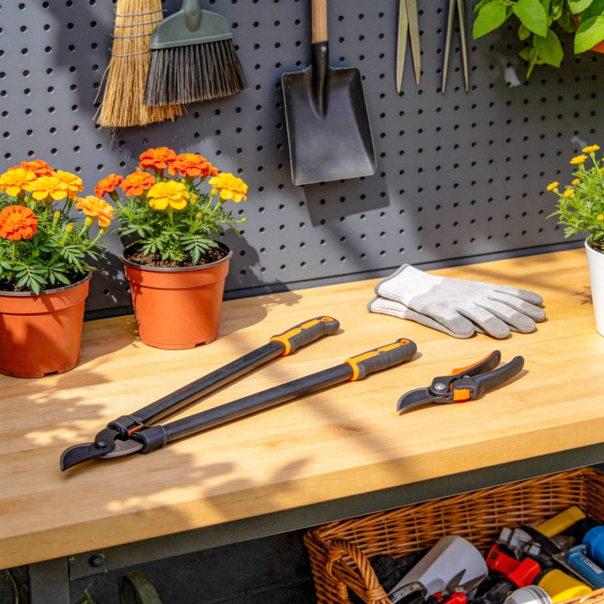 GARTENSCHEREN-SET DE-10304 2-teilig mit Ast- und Baumschere - Orange, Metall (24/2.5/69.5cm) - ComfortXL