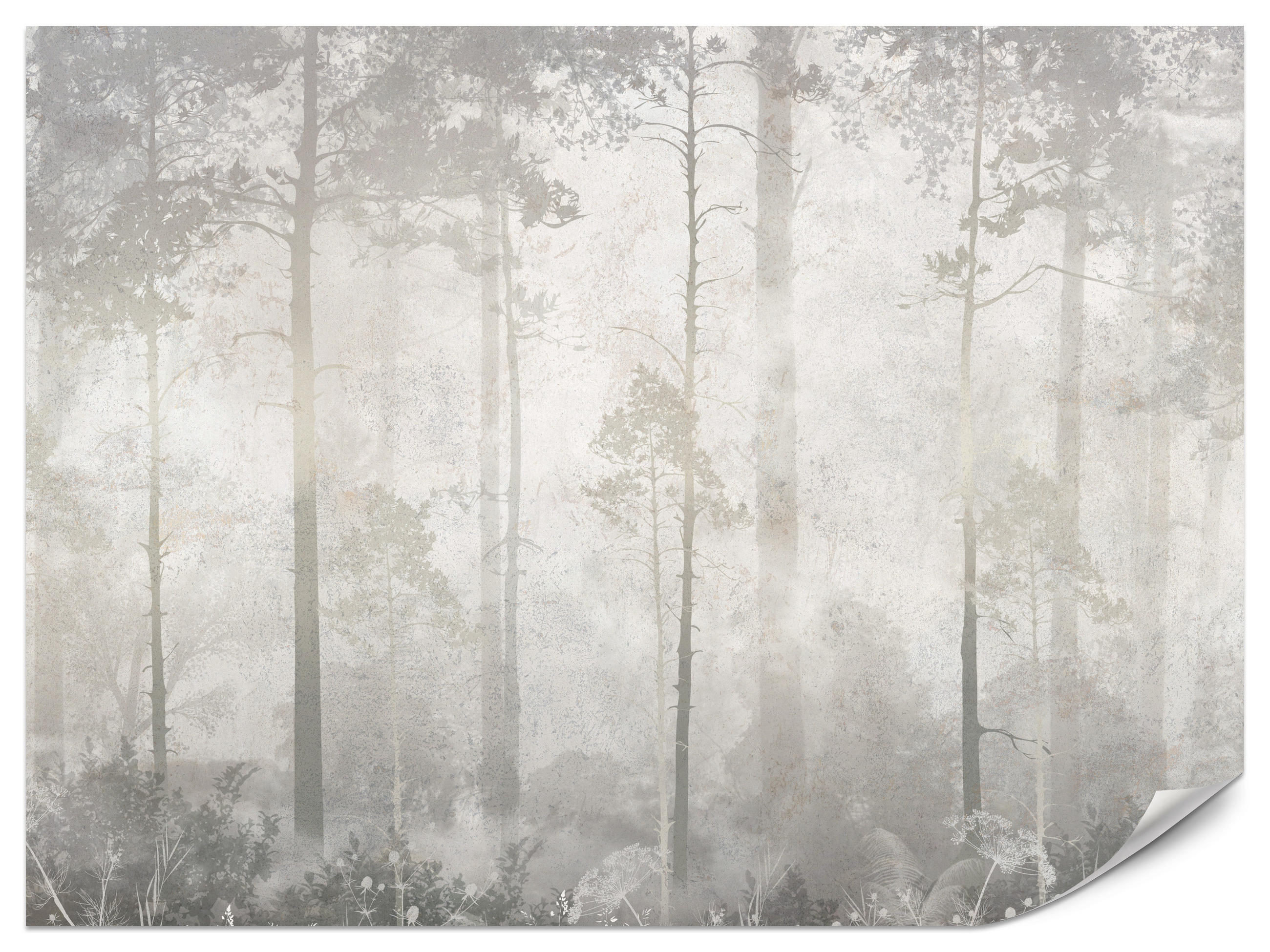 FOTOTAPETE für Wohnzimmer Nebliger Wald Vintage Bäume 300x210 - Beige/Grau, Papier (300/210cm) - Muralo