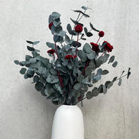 TROCKENBLUMEN Strauß Pop of Color: Eukalyptus red - Rot, Naturmaterialien (40cm) - Lykke & You