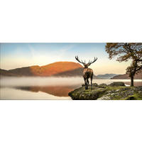 GLASBILD 125x50 cm Hirsch Landschaft - Braun, Glas (125/50cm) - artissimo