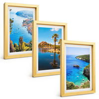 BILDER SET 3er Set - 20x30 cm Goldrahmen - Palmen am Meer, blaues Wasser - Goldfarben, Kunststoff (20/30cm) - TULUP