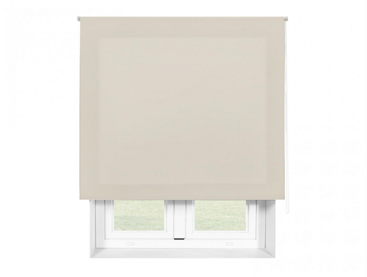 ROLLO Polyester Transluzent CREAM 100x250 - Creme, Textil (100/250/1cm) - Purline