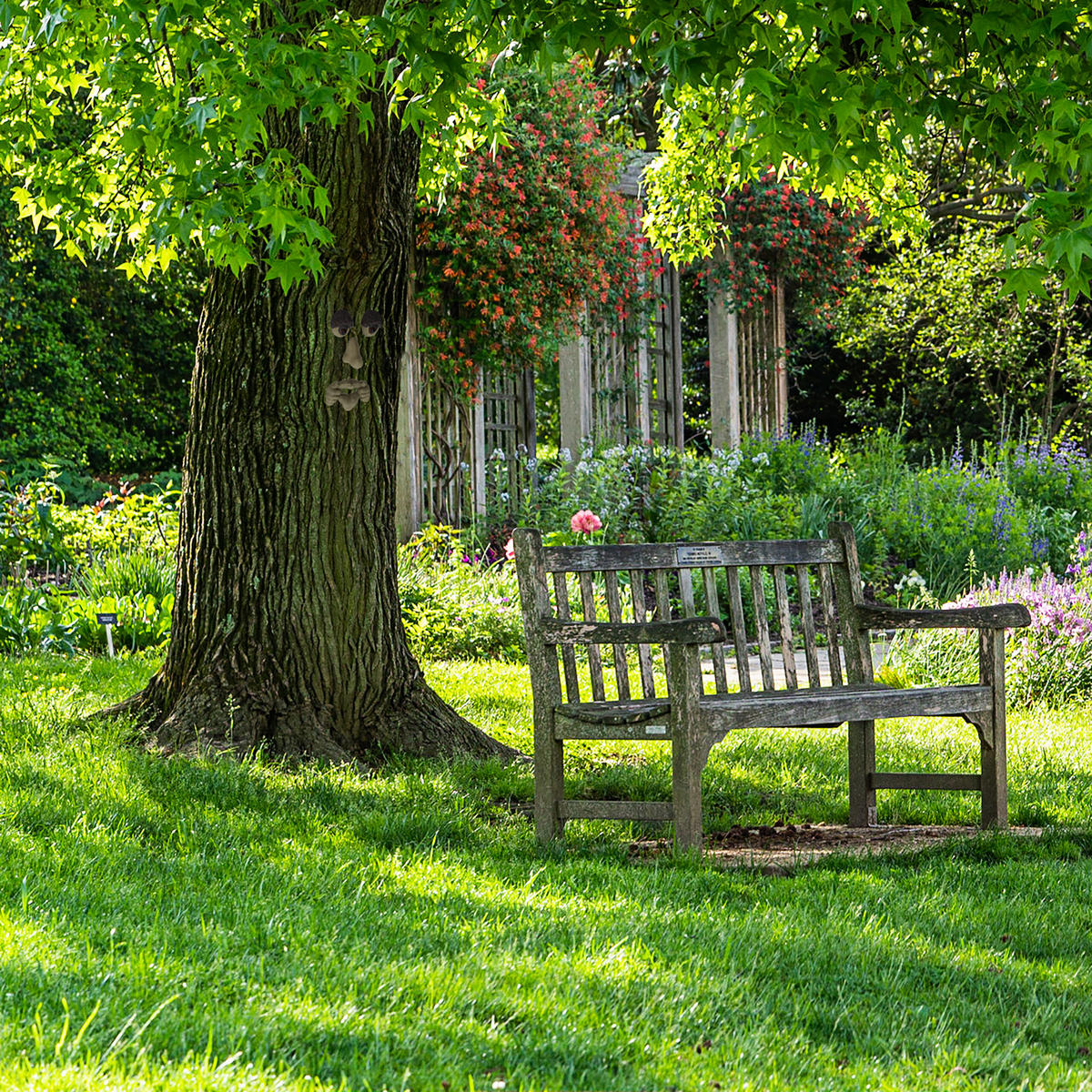 BAUMGESICHT - Beige, Kunststoff (2/12.5/8.5cm) - Relaxdays