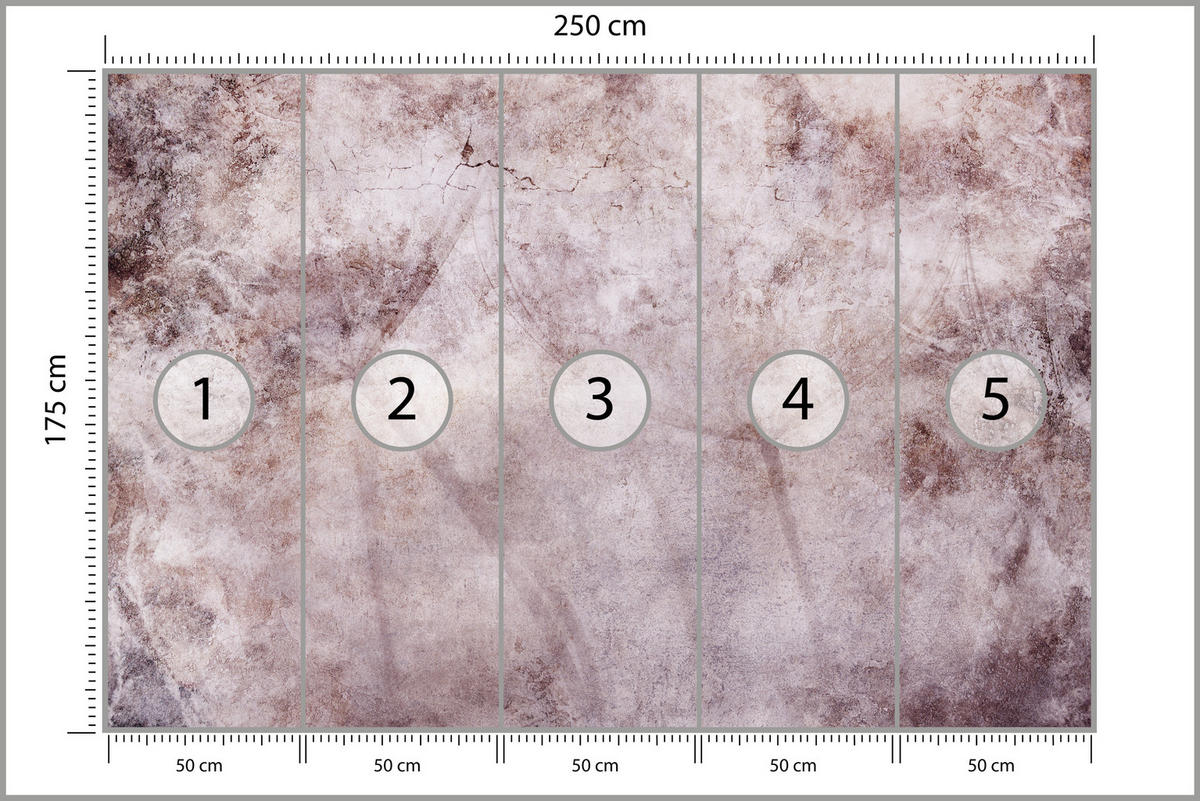 FOTOTAPETE Abstraktion Löwenzahn Blätter Retro Natur Beton 250x175 - Violett/Rosa, Papier (250/175cm) - Muralo