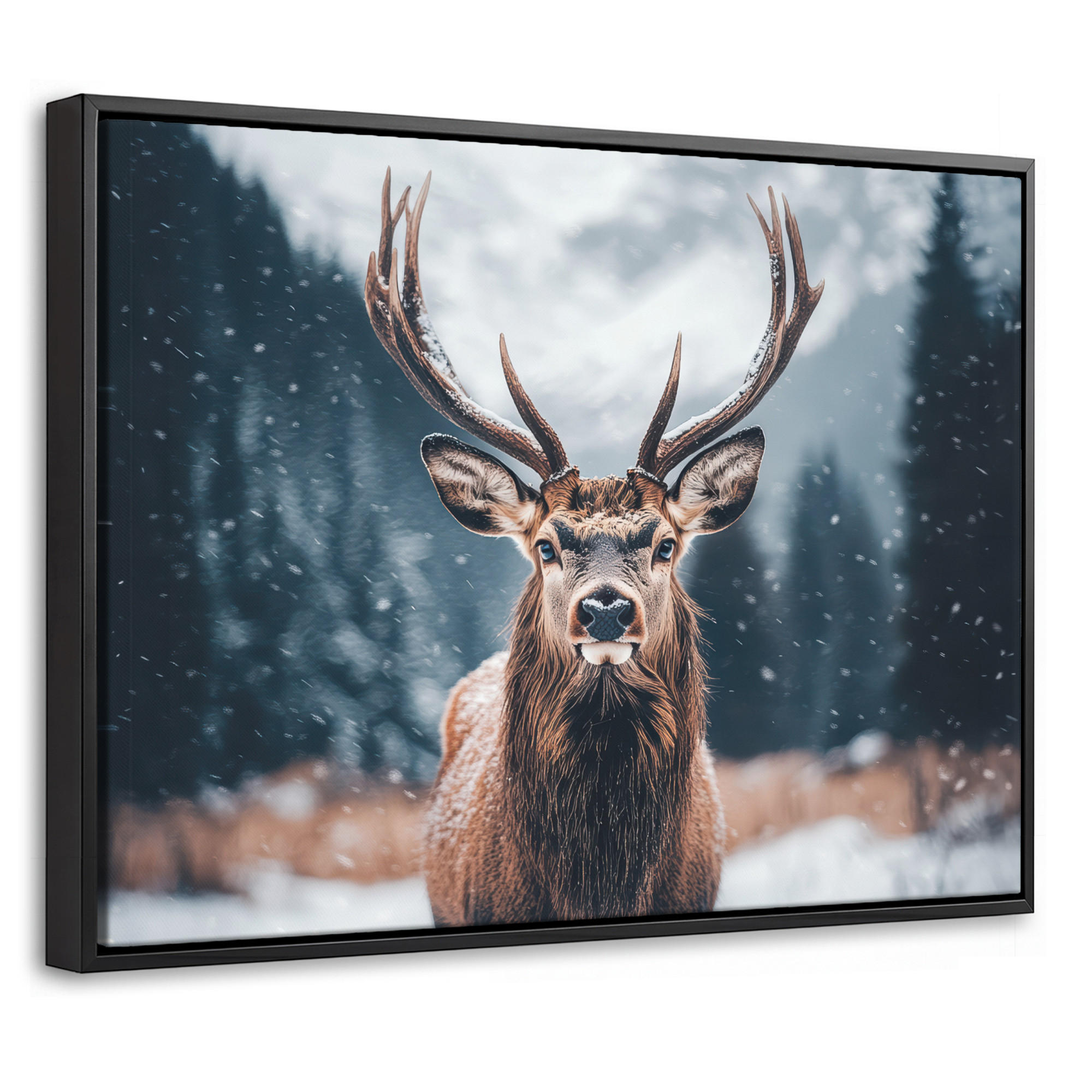 MuchoWow Leinwand Kastanien 40x30 cm