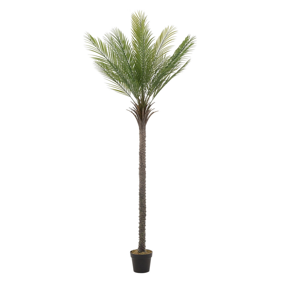 KUNSTPFLANZE Palme - Anthrazit/Grün, Holz/Kunststoff (210cm) - ML-DESIGN