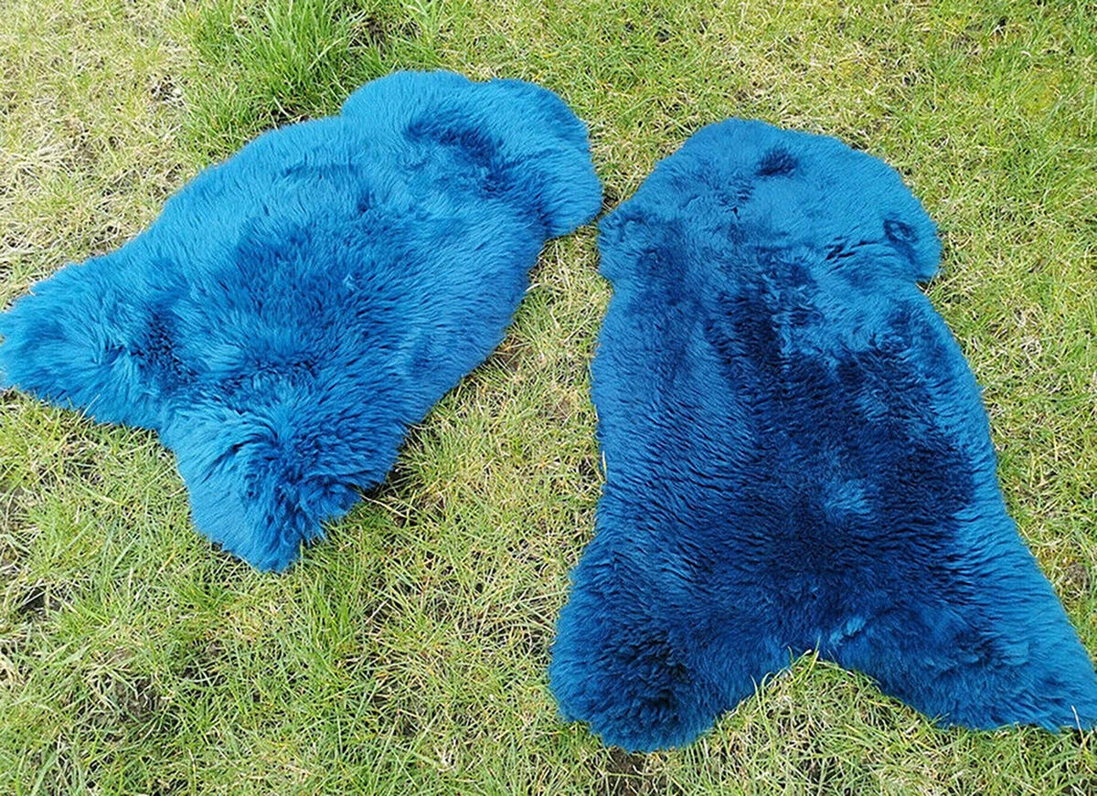 LAMMFELL Öko bunt gefärbt weich Fell Teppich Himmelblau ca. 110 cm - Blau, Fell (60/110cm) - Provellus