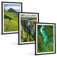 BILDER SET 3er Set - 40x60 cm Schwarzer Rahmen - Grüne Berge, Flussfelsen - Schwarz, Kunststoff (40/60cm) - TULUP