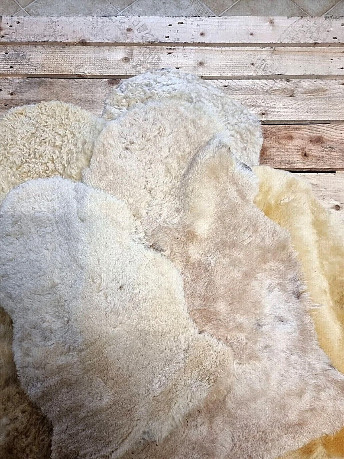 SCHAFFELL Lammfell 2. Wahl Hell geschoren ca. 95 cm - Beige/Creme, Fell (50/95cm) - Provellus