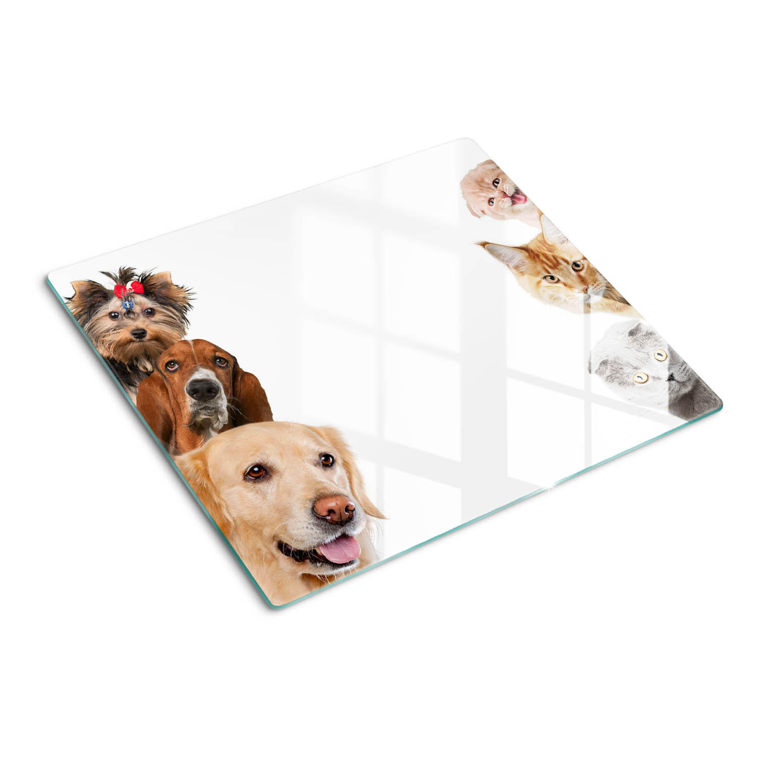 GLASPLATTE 60x52 cm Hunde Katzen - Beige, Glas (60/52cm) - TULUP