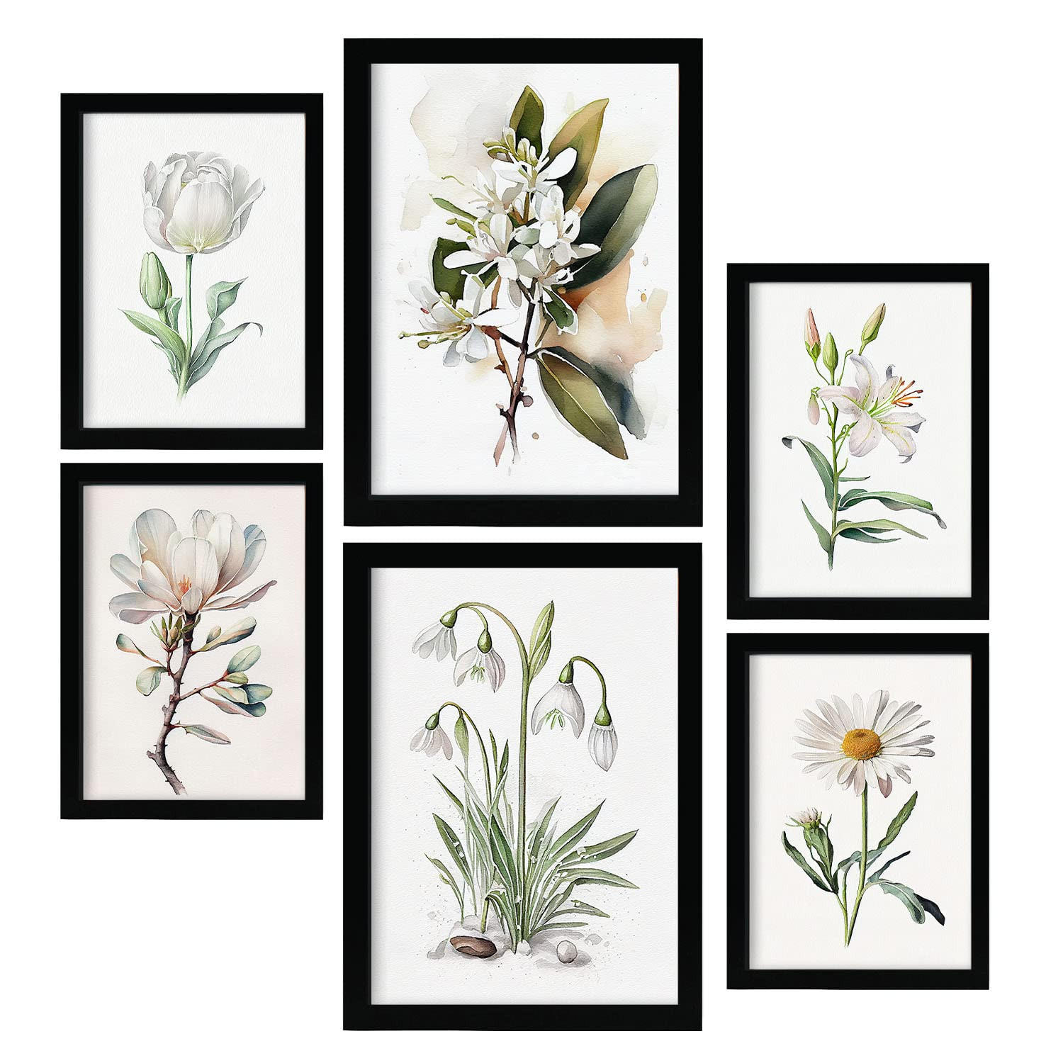 POSTER Set Mit 6 Weiße Blumen Vollfarbige Blumenmotiven A3 & A4 Rahmenlos - Klar, Papier (29/3cm) - Nacnic