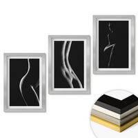 WANDBILDER 3er Set - 20x30 cm Silberner Rahmen - Schwarz-weiße weibliche Silhouetten - Silberfarben, Kunststoff (20/30cm) - ArtPrintCave