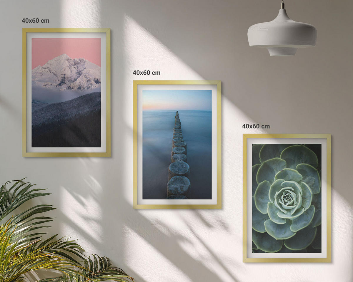 WANDBILDER 3er Set - 40x60 cm Goldrahmen - Berge, rosa Himmel, Wasser, Sukkulente - Goldfarben, Kunststoff (40/60cm) - ArtPrintCave