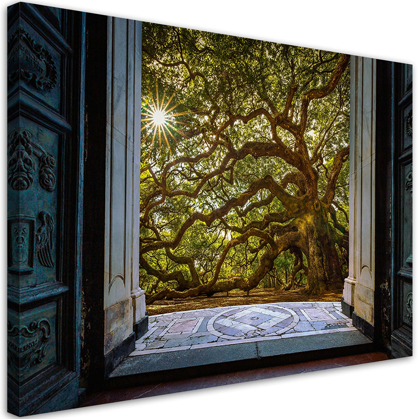 WANDBILD baumansicht sonne natur - Grün, Textil (60/40cm) - Feeby