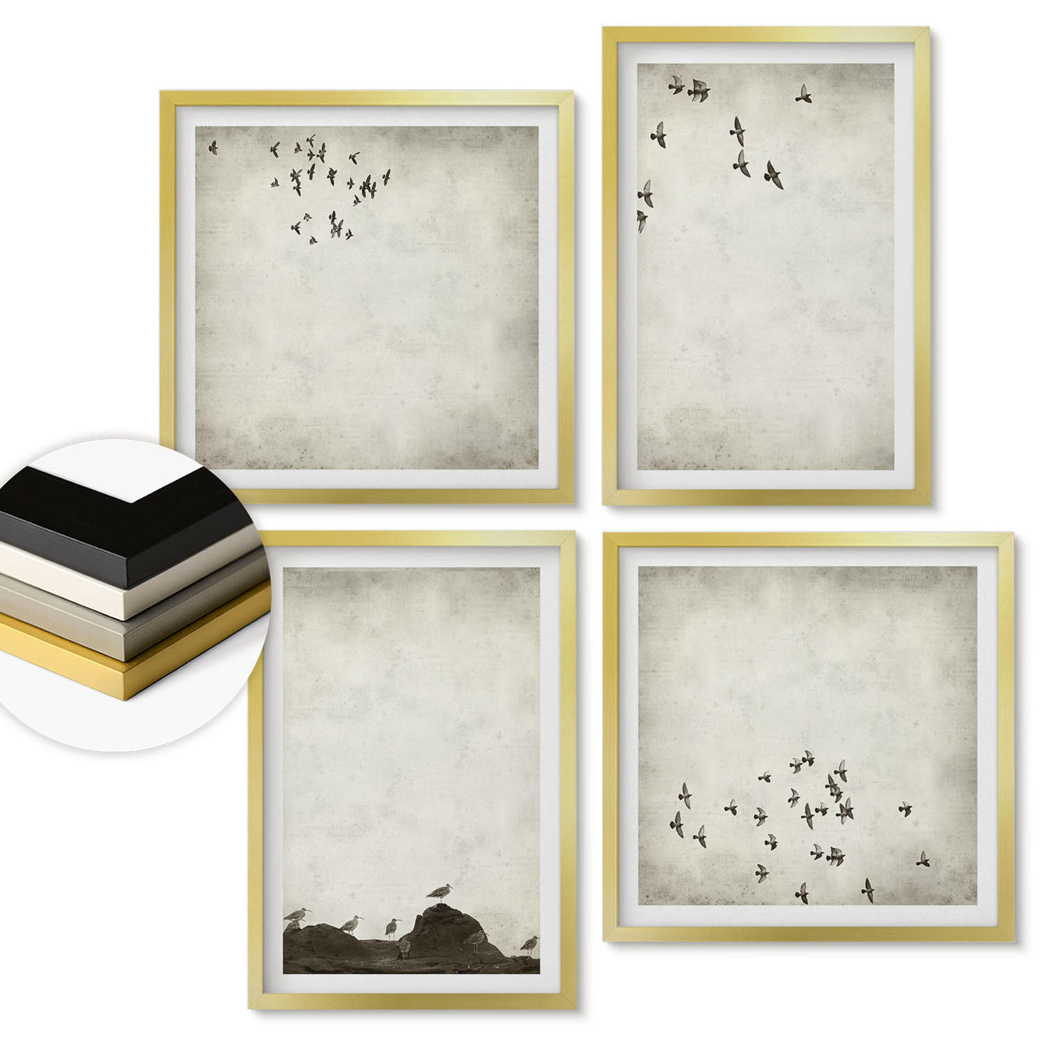 WANDBILDER 4er Set - 50x50 cm & 40x60 cm Goldrahmen - Minimalistische Vogelmalerei - Goldfarben, Kunststoff (50/50cm) - ArtPrintCave