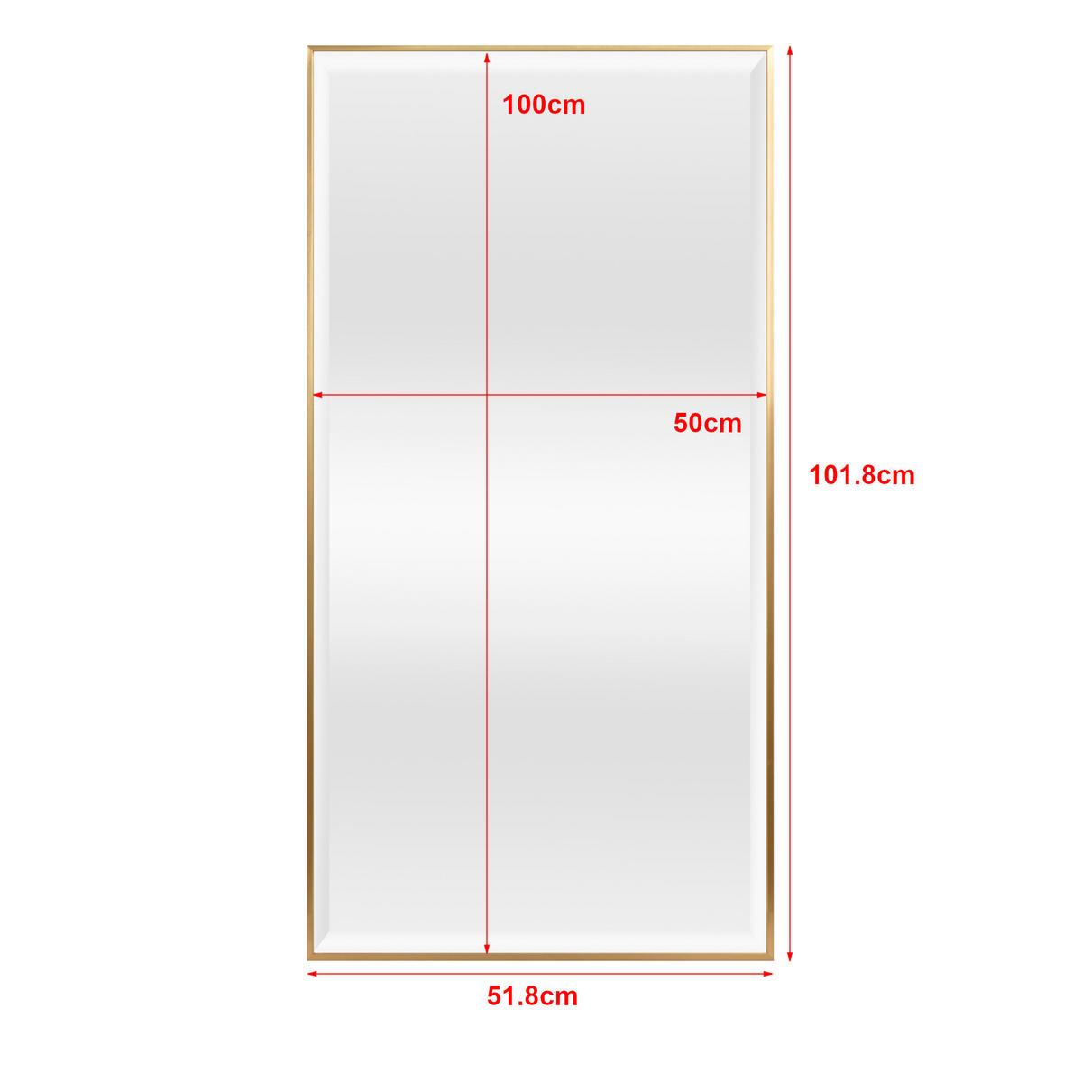 WANDSPIEGEL Novoli - Goldfarben, Glas/Kunststoff (50/4/100cm) - [en.casa]