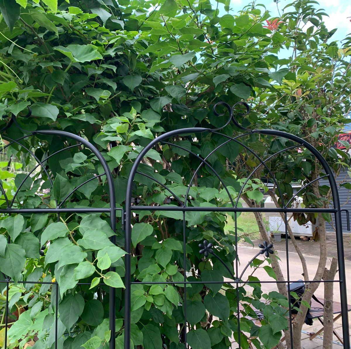 BLUMENKASTENHALTER aus Metall 50x180cm in Schwarz - Schwarz, Metall (50/180/50cm) - Modfu