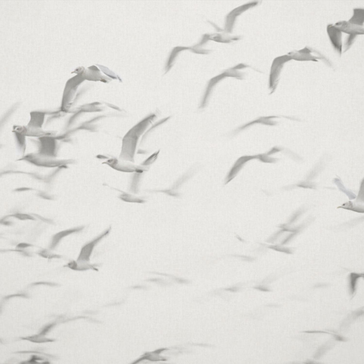 FOTOTAPETE Vögel 424 x 280 cm - Grün, Papier (424/280cm) - Sanders & Sanders