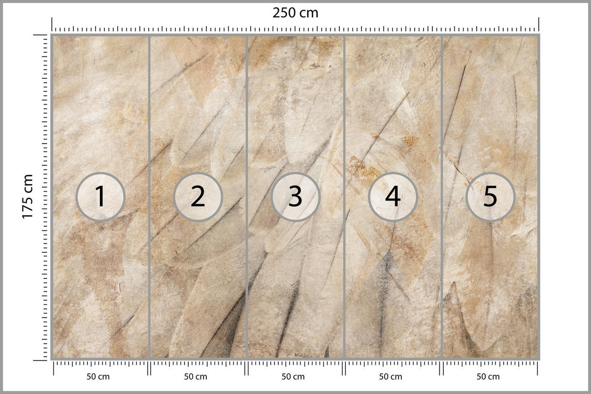 FOTOTAPETE Vogelflügel Beton Retro Stil 250x175 - Beige/Braun, Papier (250/175cm) - Muralo