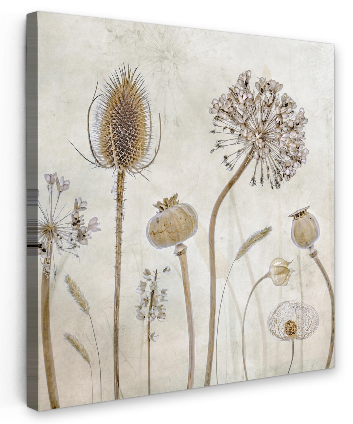LEINWANDBILD Blumen - Aquarell - Stilleben - Braun - Vintage 90x90 cm - Beige, Textil (90/90cm) - MuchoWow