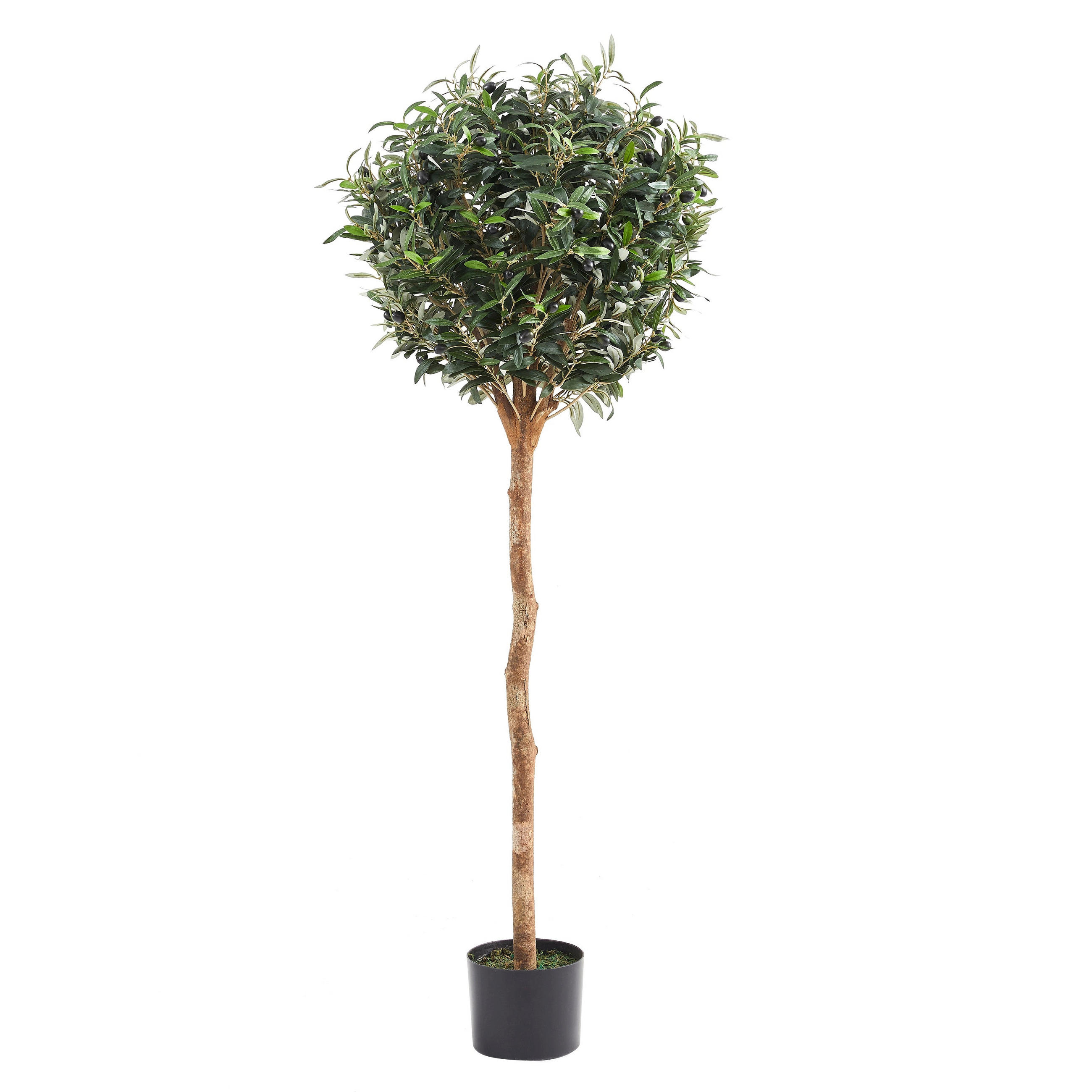 KUNSTBAUM Künstlicher Olivenbaum – Thalior 150 cm - Grün, Kunststoff (150cm) - aplanta
