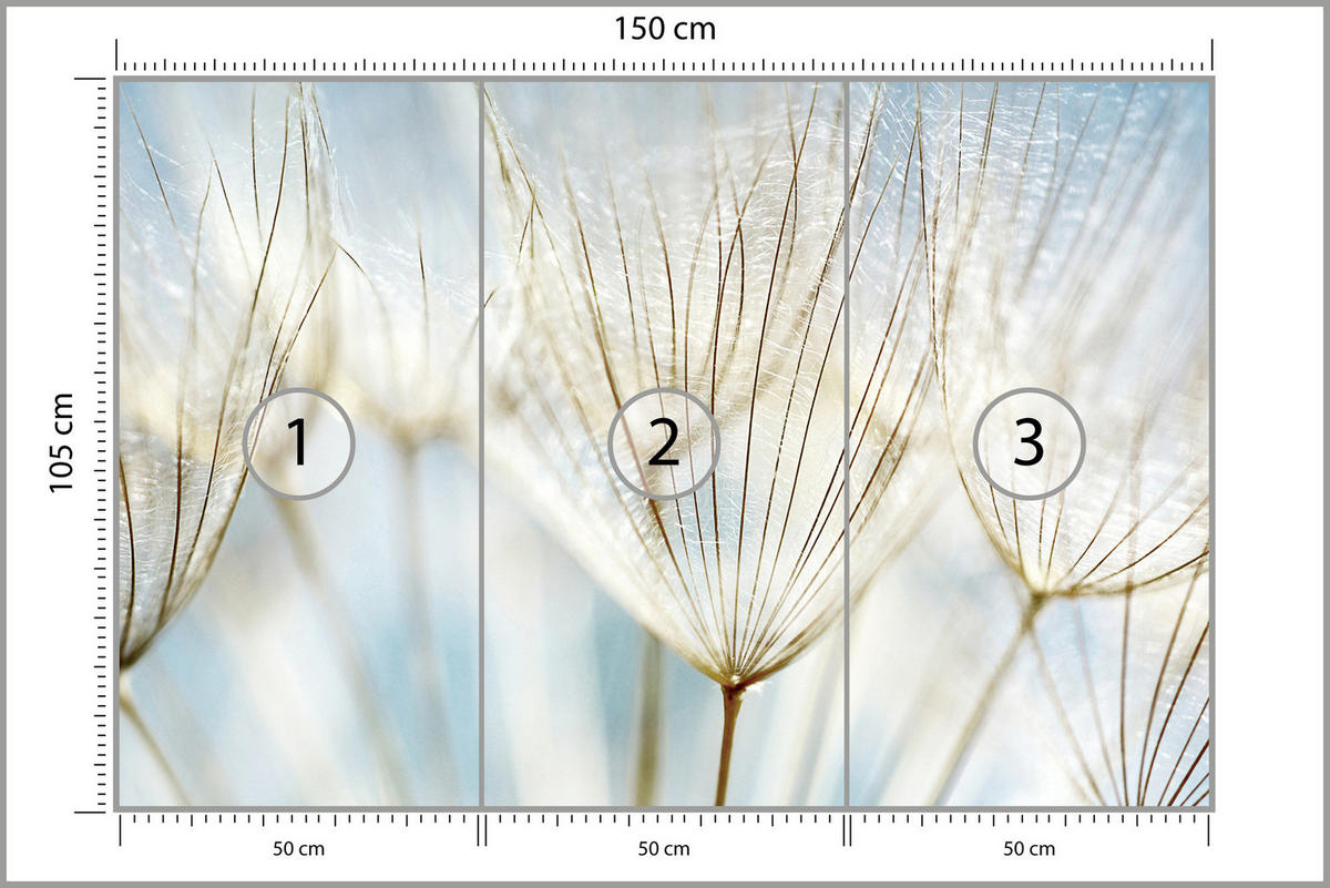 FOTOTAPETE für Wohnzimmer Löwenzahn Pflanzen Natur 150x105 - Blau/Beige, Papier (150/105cm) - Muralo