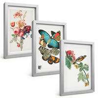 BILDER SET 3er Set - 20x30 cm Silberner Rahmen - Blumen, Schmetterlinge, Vögel, Pastellfarben - Silberfarben, Kunststoff (20/30cm) - TULUP