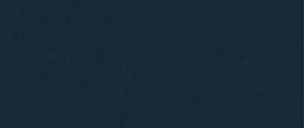 BOXBETT Mit Bettkasten Und Matratze POEL Blau 120x200 cm H3-Bonell - Blau/Mooreichefarben, Holz/Holzwerkstoff (120/200cm) - Kaiser Möbel