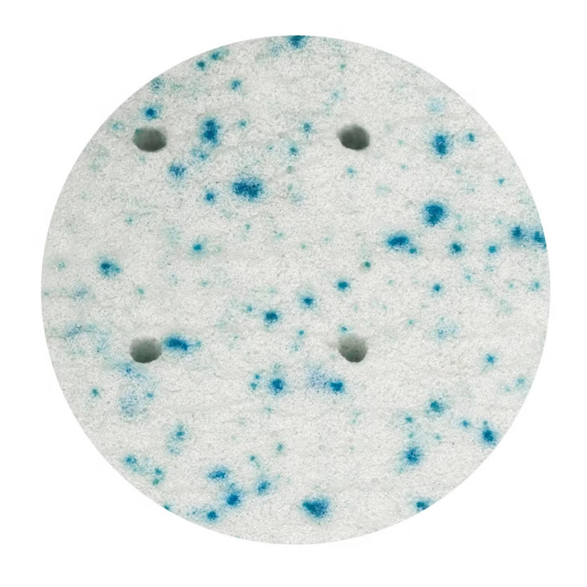 TOPPER Gel Latex 180x200 cm Höhe 8 cm – 7 Zonen, orthopädisch, atmungsaktiv - Weiß, Textil (180/200cm) - Letti Moderni