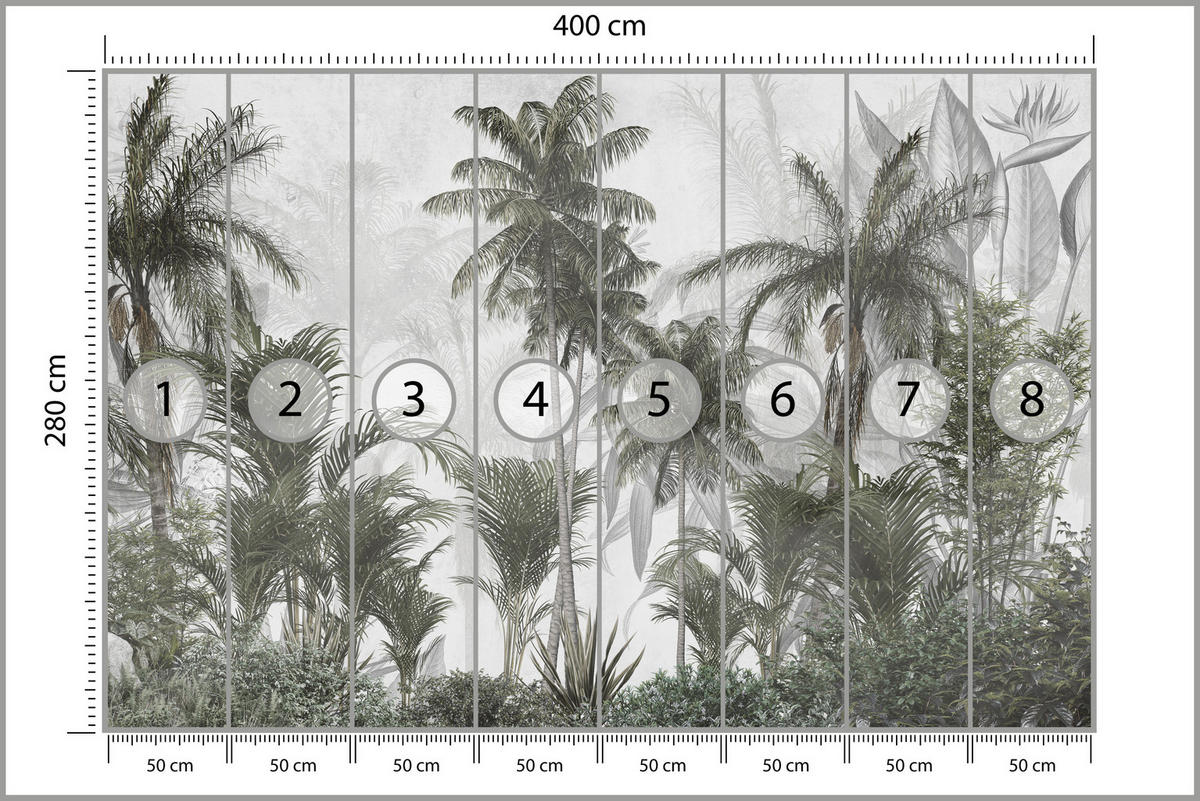 FOTOTAPETE für Wohnzimmer Natur Hohe Palmen Bäume Tropisch 400x280 - Grau/Grün, Papier (400/280cm) - Muralo