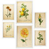 POSTER Set Mit 6 Botanisches Gelb Größe A3 & A4 Weißer Rahmen - Weiß, Papier (29.7/1cm) - Nacnic