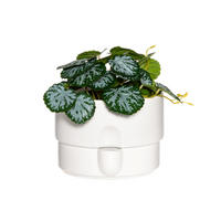 BLUMENTOPF mit Bewässerungssystem Ø 19 cm - Weiß, Keramik (19/13.5cm)