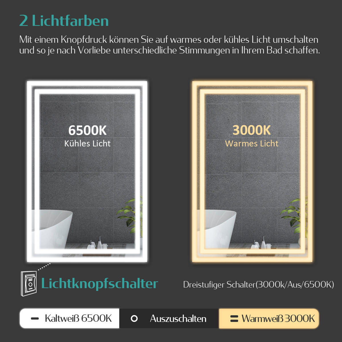BADSPIEGEL mit Power-Off-Memory-Funktion Beleuchtung 100/60/3,5 cm - Weiß, Glas (60/3.5/100cm) - EMKE