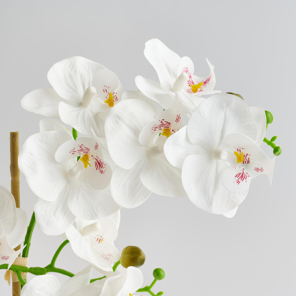 KUNSTPFLANZE Orchibitto new - Weiß, Kunststoff (50cm) - home&you