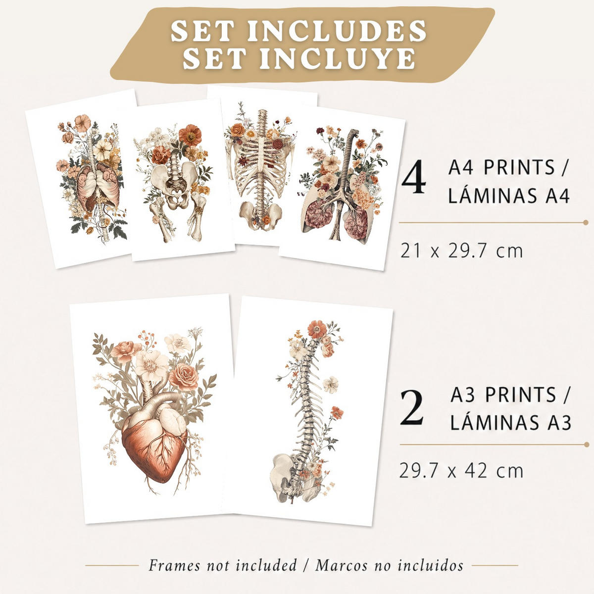 POSTER Set aus 6 Anatomie Mensch Florale Aquarell Drucke und mit Gehirn Lungen Skelett Nieren und Organen Botanische Größe Rahmenlos A3 & A4 - Klar, Papier (21/29.7/3cm) - Nacnic