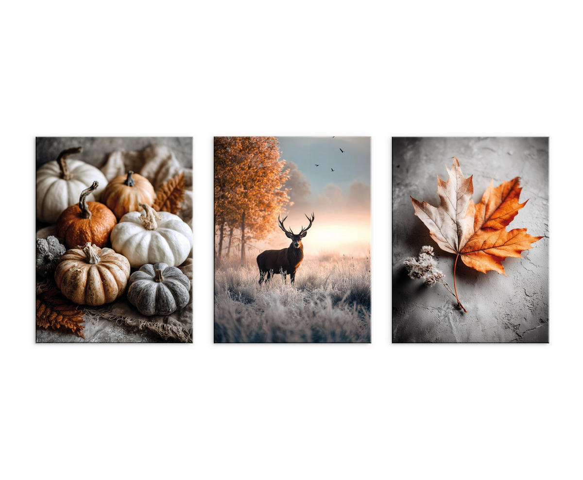 BILDERSET 3er-Set 30x40 cm Hirsch Herbst - Orange, Kunststoff (30/40cm) - artissimo