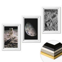WANDBILDER 3er-Set - 20x30 cm Weißer Rahmen - Astronautenfoto vom Mond - Weiß, Kunststoff (20/30cm) - ArtPrintCave