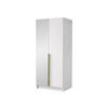 KLEIDERSCHRANK Bono II - Goldfarben/Multicolor, Holzwerkstoff/Metall (100/215/58cm) - MIRJAN24