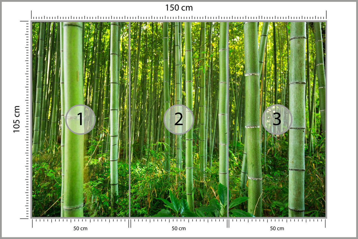 FOTOTAPETA Bambusový Les Rastliny Príroda 3D 150 x 105 cm - žltá/zelená, papier (150/105cm) - Muralo