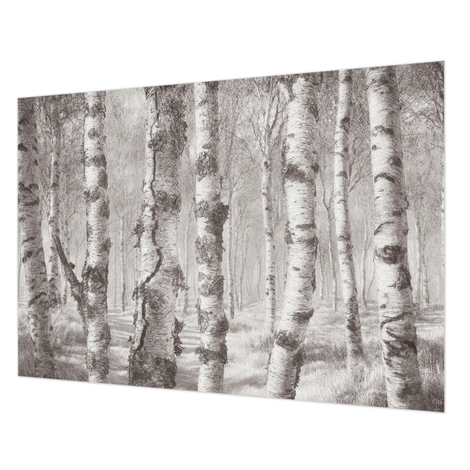 FOTOTAPETE 312x219 cm - Birkenwald - Schwarz, Textil (312/219cm) - Wallfluent