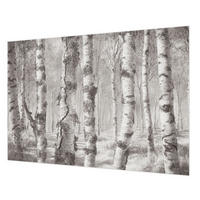 FOTOTAPETE 312x219 cm - Birkenwald - Schwarz, Textil (312/219cm) - Wallfluent