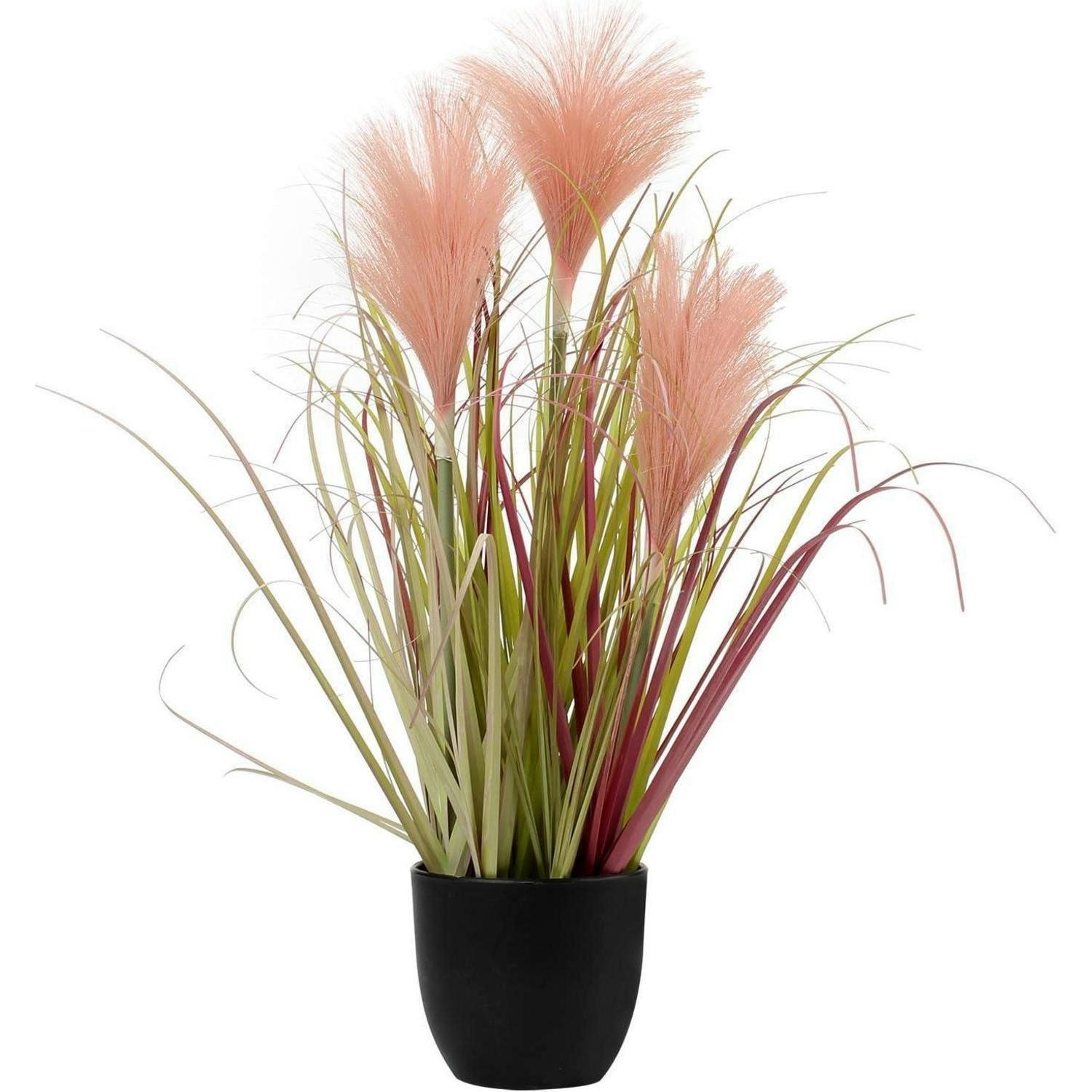KUNSTPFLANZE Pampasgras Light Coral im schwarzen Topf - Rosa, Kunststoff (8cm)