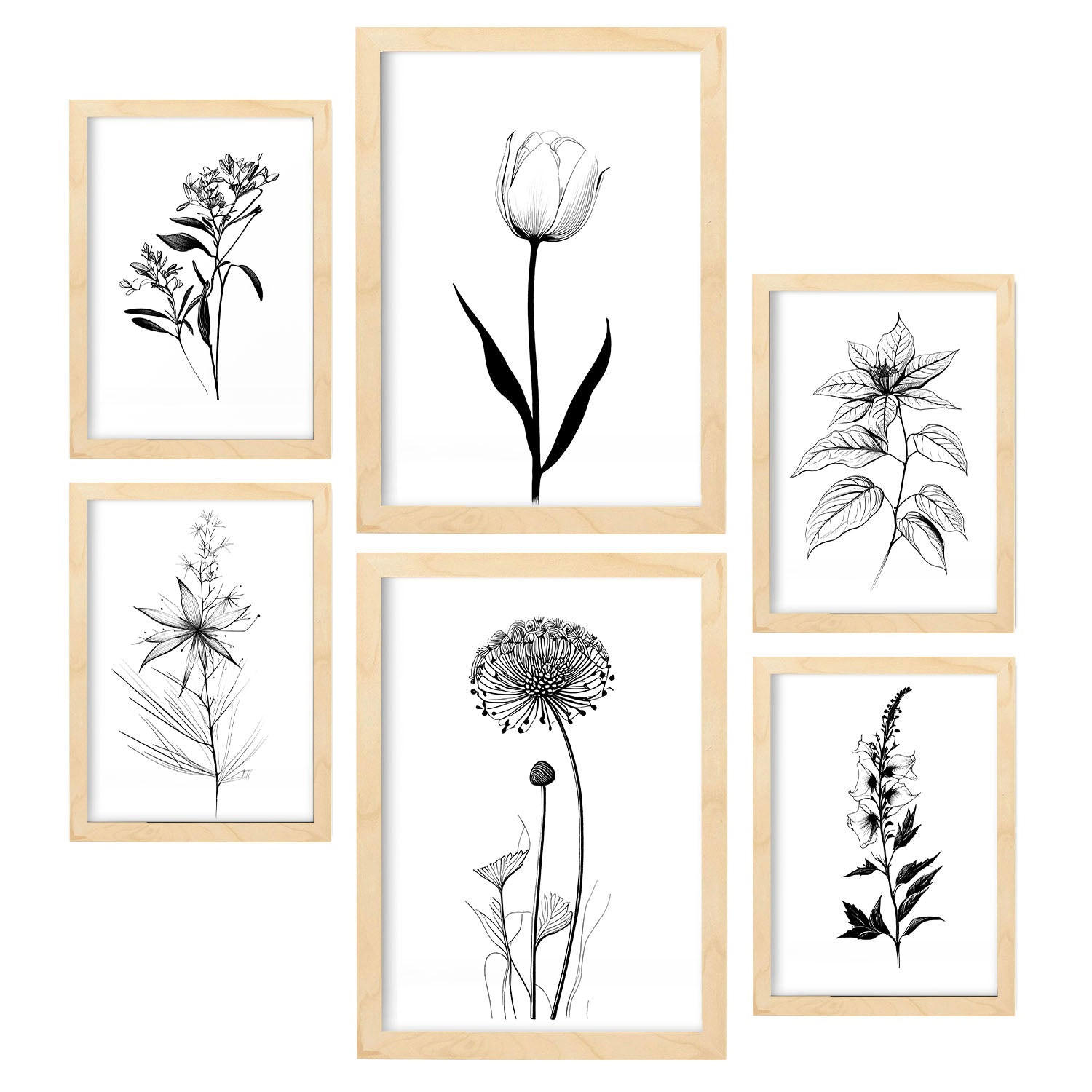 POSTER Set Mit 6 Kleine Blumen Natur Und Botanikdrucke Mit Blumenmotiven In Klassischem Schwarz Und Weiß A3 & A4 Rahmen Aus Hellem Holz - Beige, Papier (29/3cm) - Nacnic