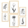 POSTER Set Mit 6 Kleine Blumen Natur Und Botanikdrucke Mit Blumenmotiven In Klassischem Schwarz Und Weiß A3 & A4 Rahmen Aus Hellem Holz - Beige, Papier (29/3cm) - Nacnic