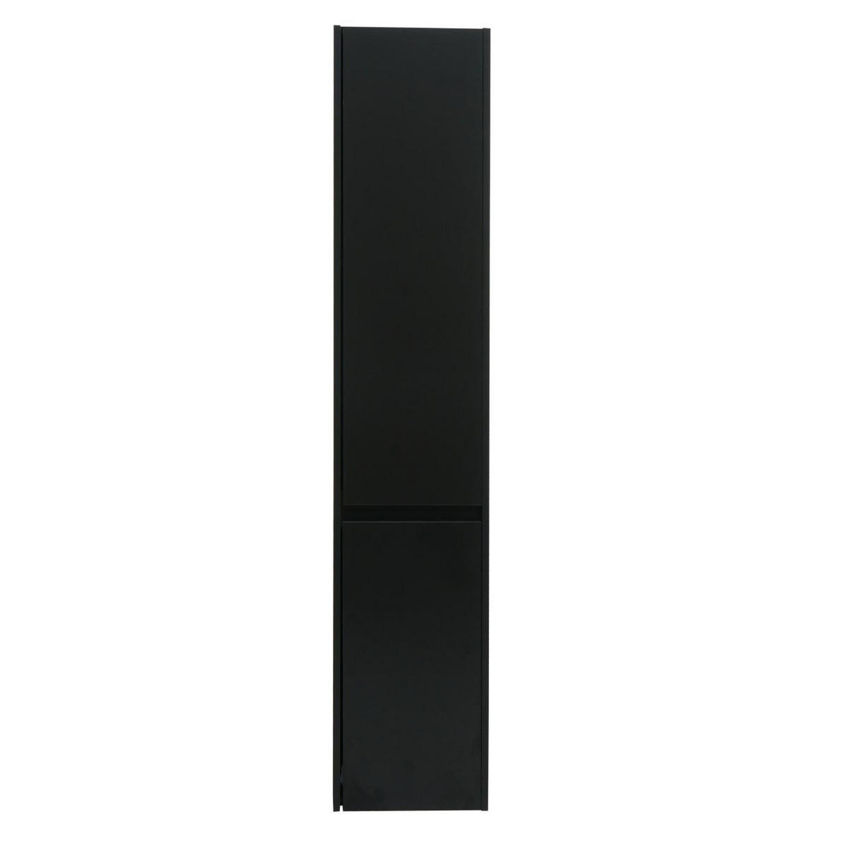 HÄNGESCHRANK Schwarz - Schwarz, Holzwerkstoff (33/160/28cm) - MCW