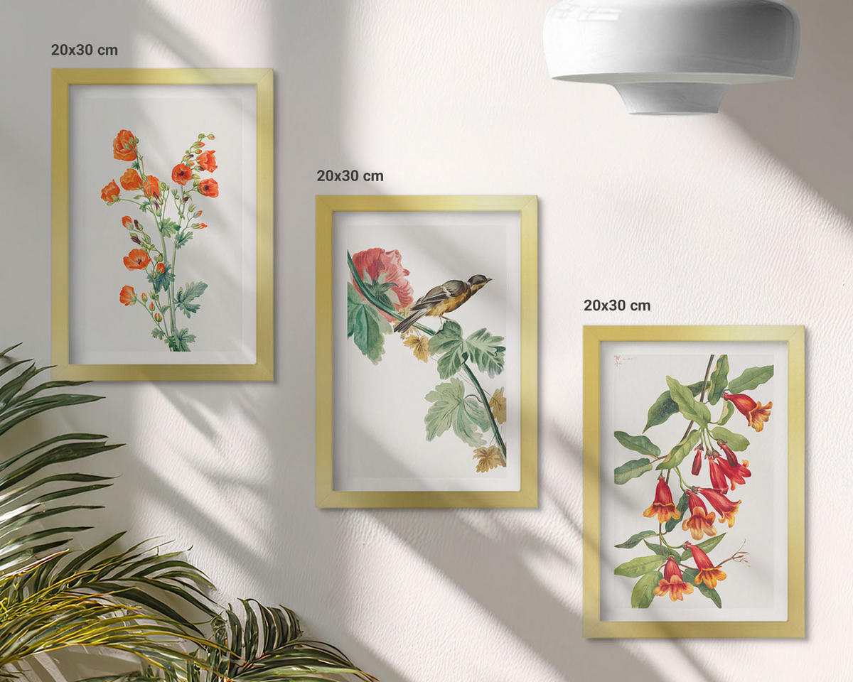 BILDER SET 3er Set - 20x30 cm Goldrahmen - Gemalte Blumen und ein Vogel - Goldfarben, Kunststoff (20/30cm) - TULUP