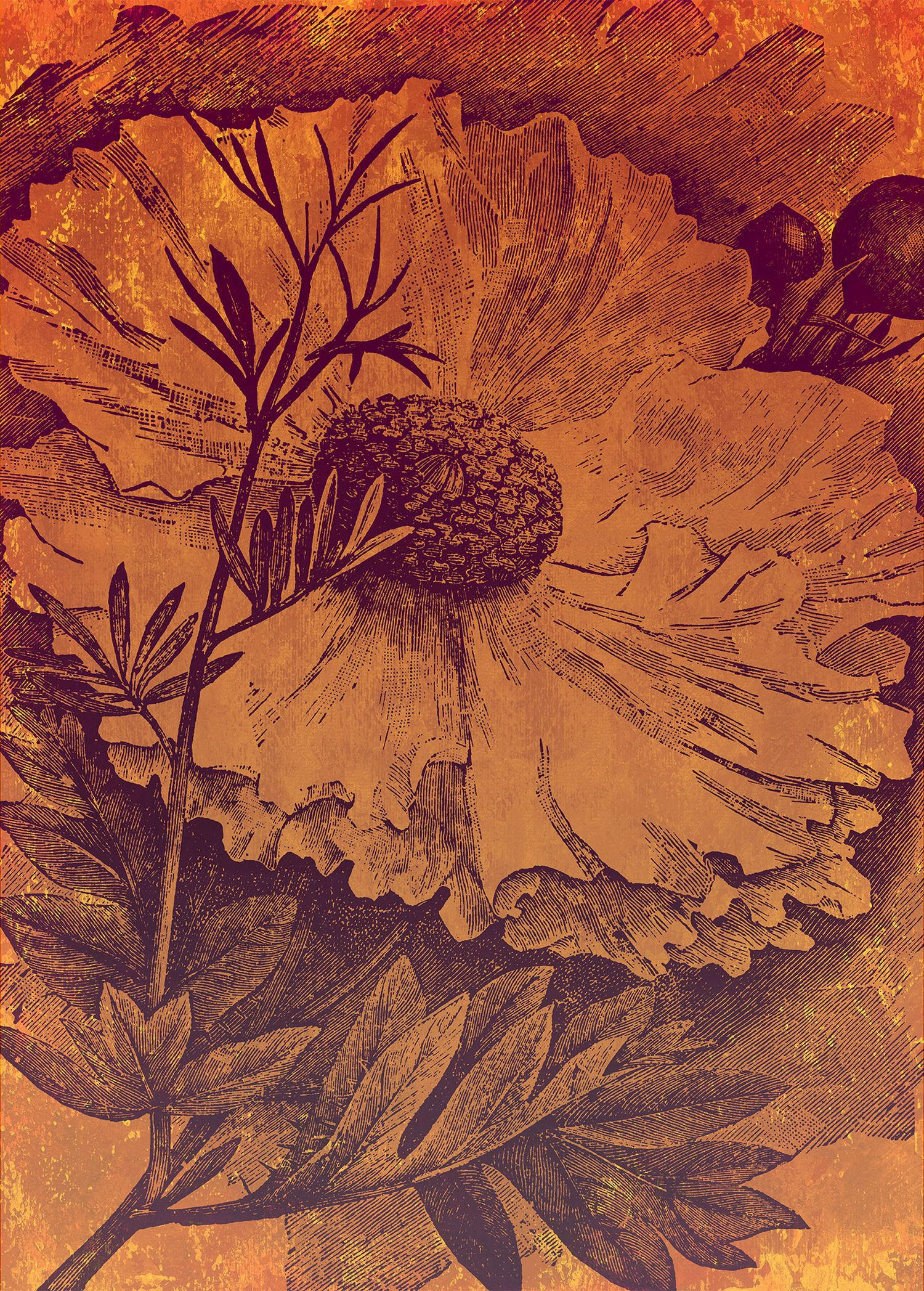 FOTOTAPETE Blumen 200 x 280 cm - Orange, Papier (200/280cm) - Sanders & Sanders
