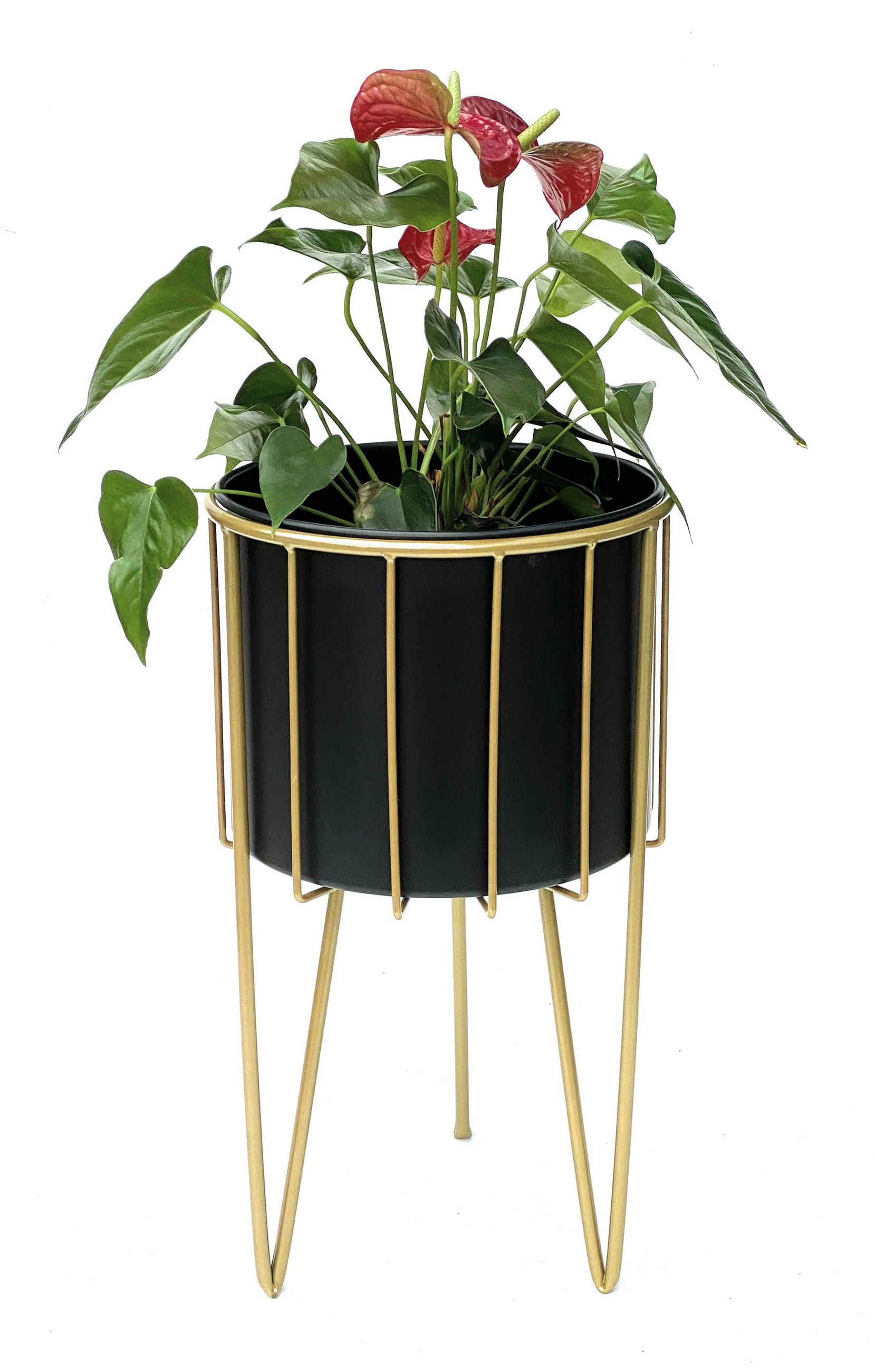 DanDiBo Blumenhocker Gelb 25x45x25 cm
