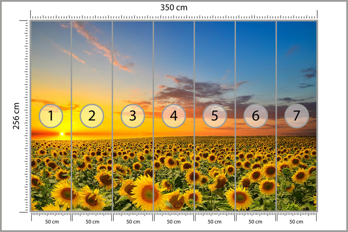 FOTOTAPETE für Küche Sonnenuntergang Sonnenblumenfeld Blumen 350x256 - Gelb/Orange, Papier (350/256cm) - Muralo